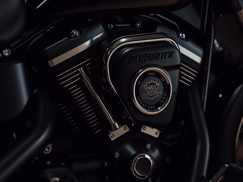 Harley-Davidson Custom Bike